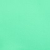 Neon Green