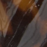 Torte