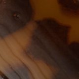 Torte