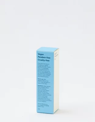 Alleyoop Hold Tight Makeup Setting Spray