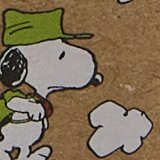 P.F. Candle Co. Take a Hike for Peanuts Candle