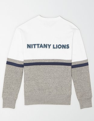 Мужские худи American Eagle Tailgate PSU Nittany Lions Colorblock Sweatshirt — фото 2