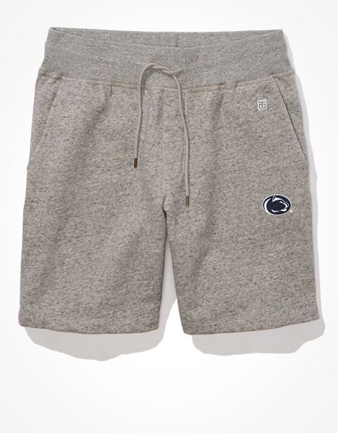 Мужские шорты American Eagle Tailgate Men's Penn State Nittany Lions Fleece Shorts
