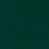 Camper Green