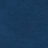 Dark Indigo