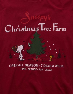 AE Peanuts Oversized Holiday Graphic Tee