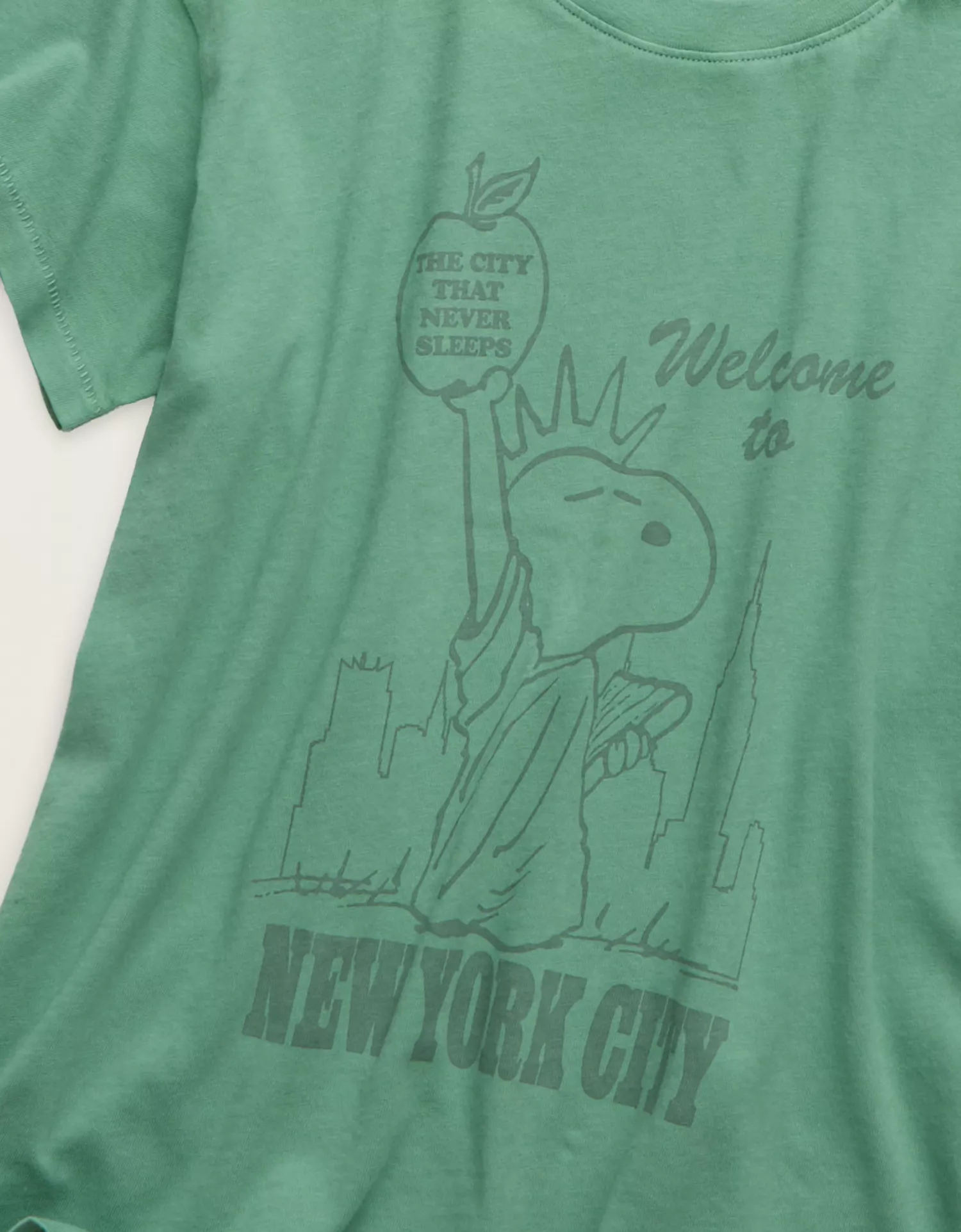 AE Peanuts Graphic T-Shirt - thumbnail 8
