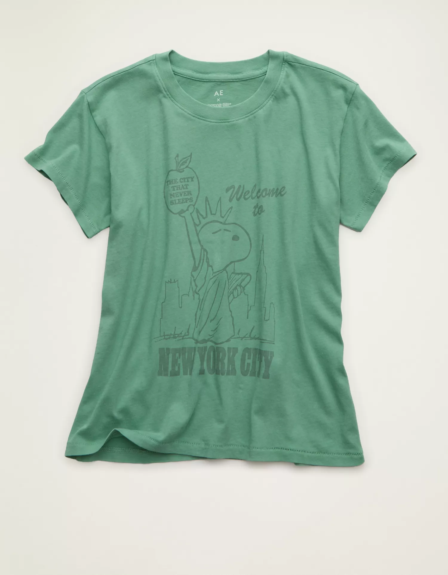 AE Peanuts Graphic T-Shirt - thumbnail 7