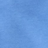 Blooming Bright Blue