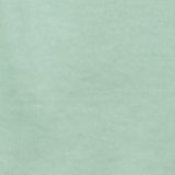 Seafoam