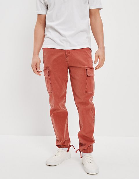 Мужские брюки American Eagle AE Flex Slim Lived-In Cargo Pant