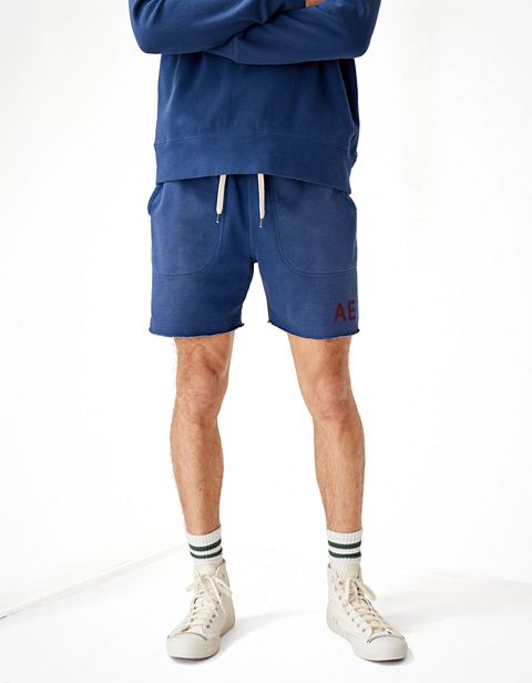 Мужские свитеры American Eagle AE 5.5" Fleece Short