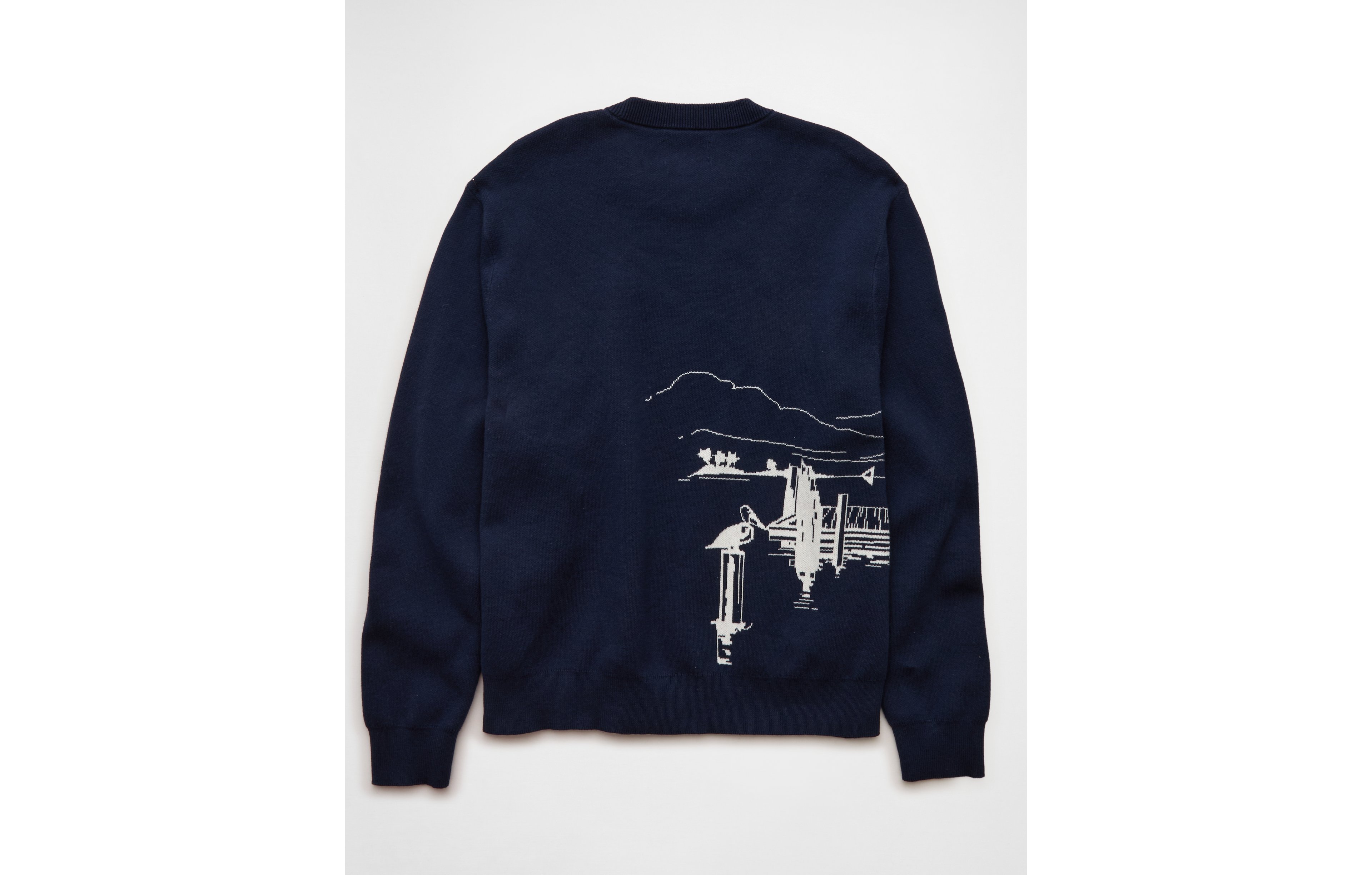 AE Graphic Crew Neck Sweater