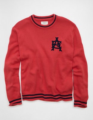 AE Graphic Crew Neck Sweater