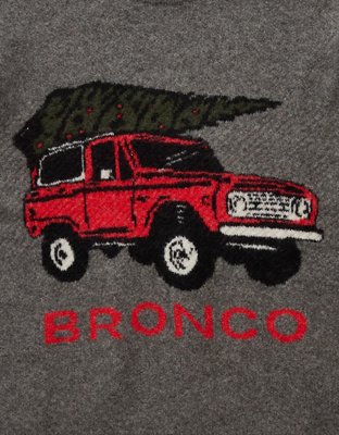 AE Cozy Cabin Ford Bronco Sweater