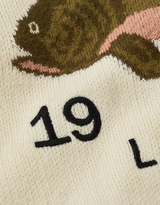 AE Graphic Crew Neck Sweater