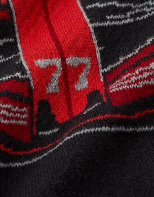 Мужской свитер American Eagle AE Racing Graphic Crew Neck, цвет: Чёрный — фото 6