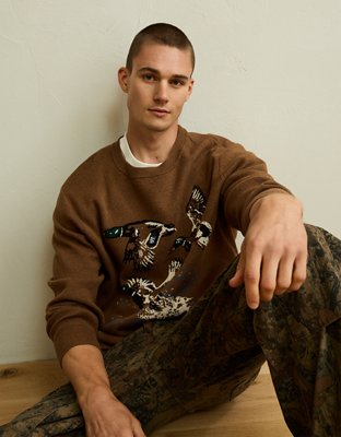 AE Graphic Crew Neck Sweater