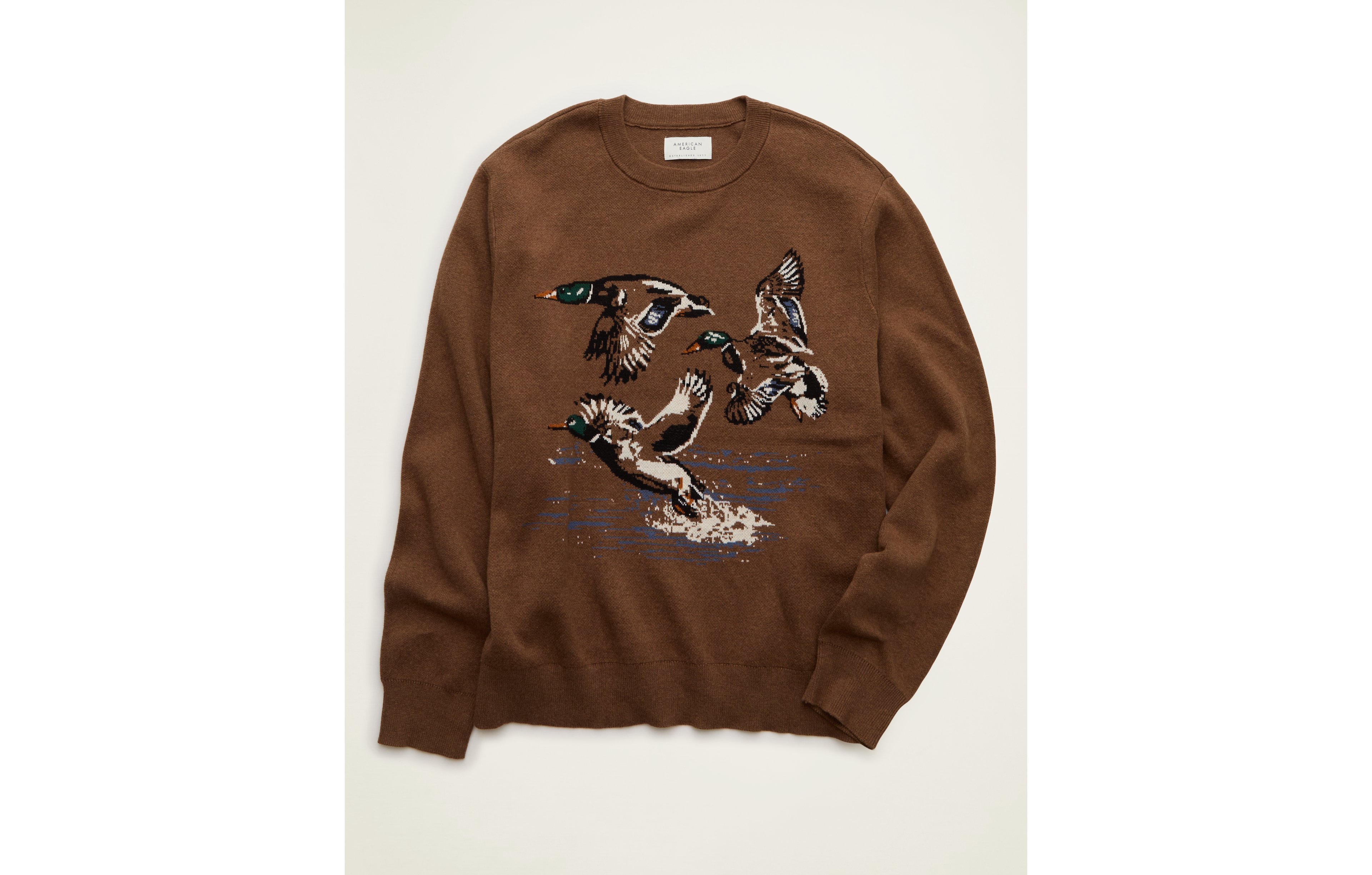 AE Graphic Crew Neck Sweater