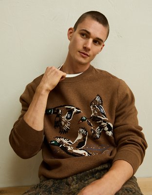 AE Graphic Crew Neck Sweater