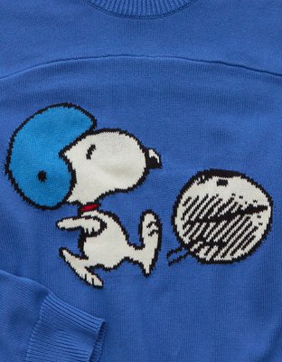 AE Snoopy Graphic Sweater
