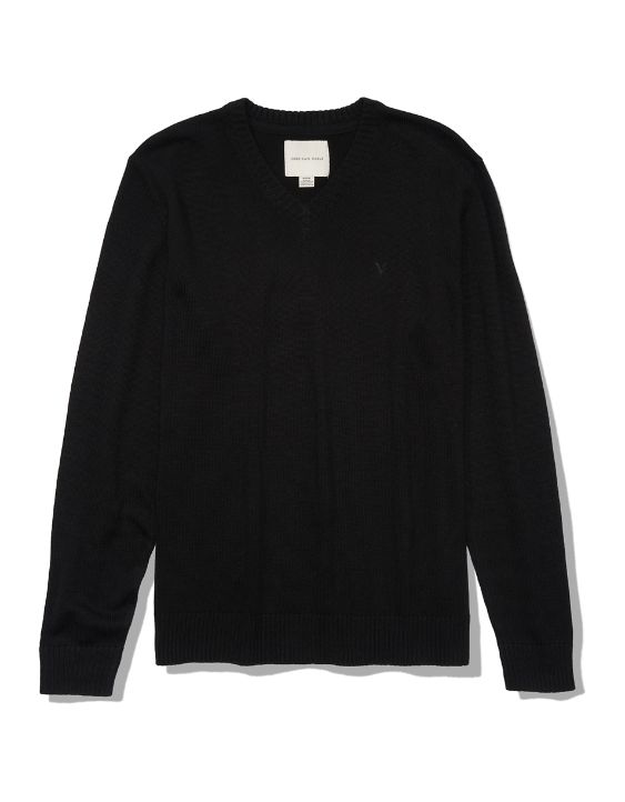 AE V-Neck Icon Sweater