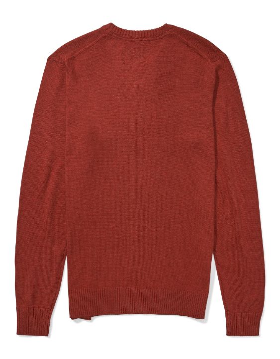AE V-Neck Icon Sweater