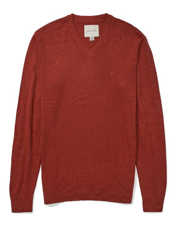 AE V-Neck Icon Sweater