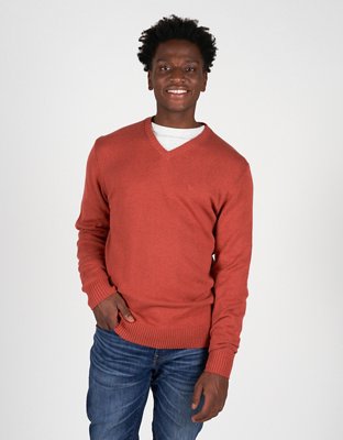 AE V-Neck Icon Sweater