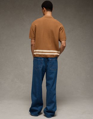 AE Striped Button-Up Sweater Polo