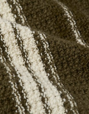 AE Striped Button-Up Sweater Polo