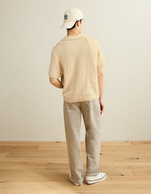 AE Striped Button-Up Sweater Polo