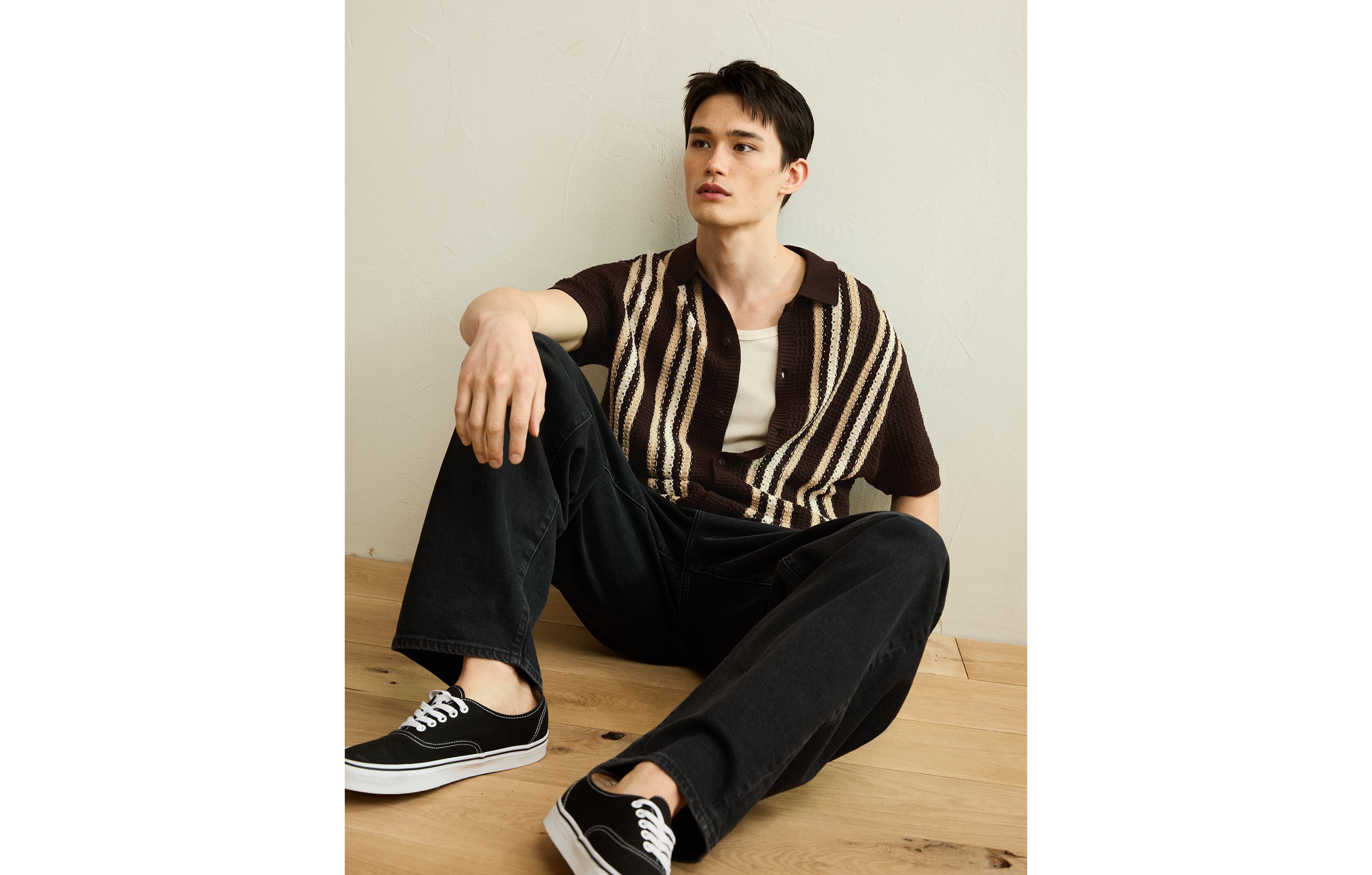 AE Striped Button-Up Sweater Polo