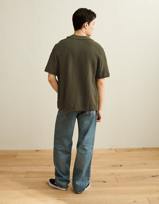 AE Striped Button-Up Sweater Polo