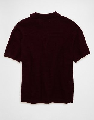 AE Striped Button-Up Sweater Polo