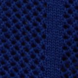 Bright Cobalt