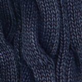 Dark Indigo