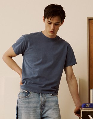AE Shrunken Fit Lived-In T-Shirt | American Eagle