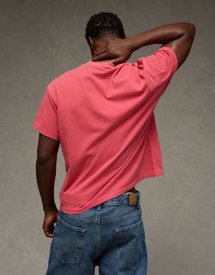 AE Shrunken Fit Lived-In T-Shirt