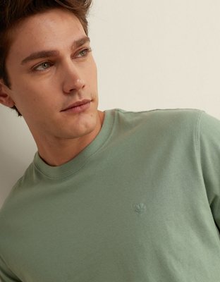 AE Lightweight Icon T-Shirt