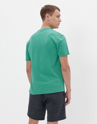 AE T-shirt Gastada
