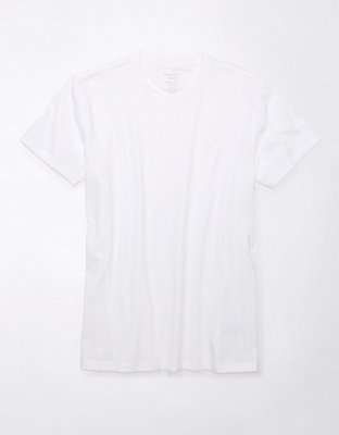 AE Lived-In Slim T-Shirt