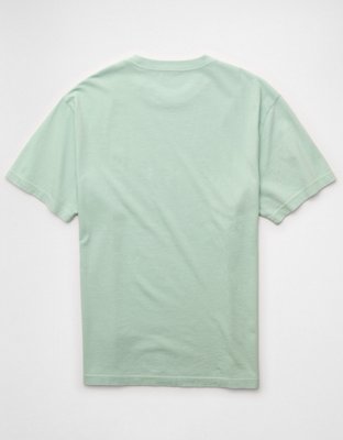 AE Standard Fit Lived-In T-Shirt