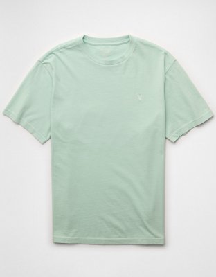 AE Standard Fit Lived-In T-Shirt