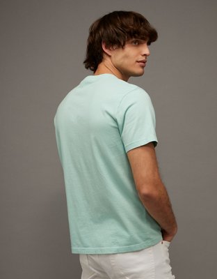 AE Standard Fit Lived-In T-Shirt