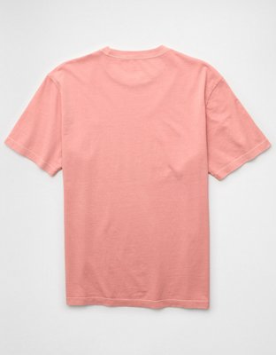 AE Standard Fit Lived-In T-Shirt