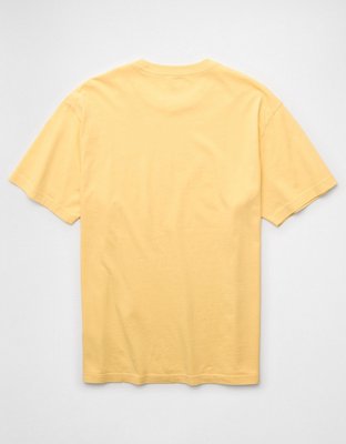 AE Standard Fit Lived-In T-Shirt