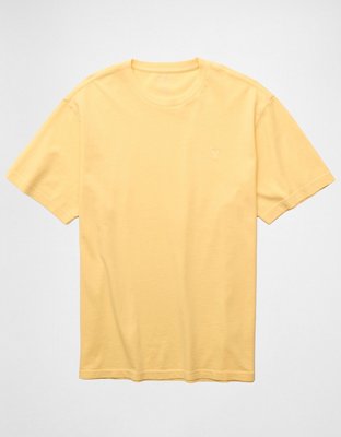 AE Standard Fit Lived-In T-Shirt