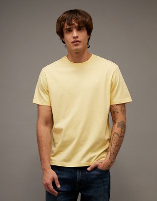 AE Standard Fit Lived-In T-Shirt