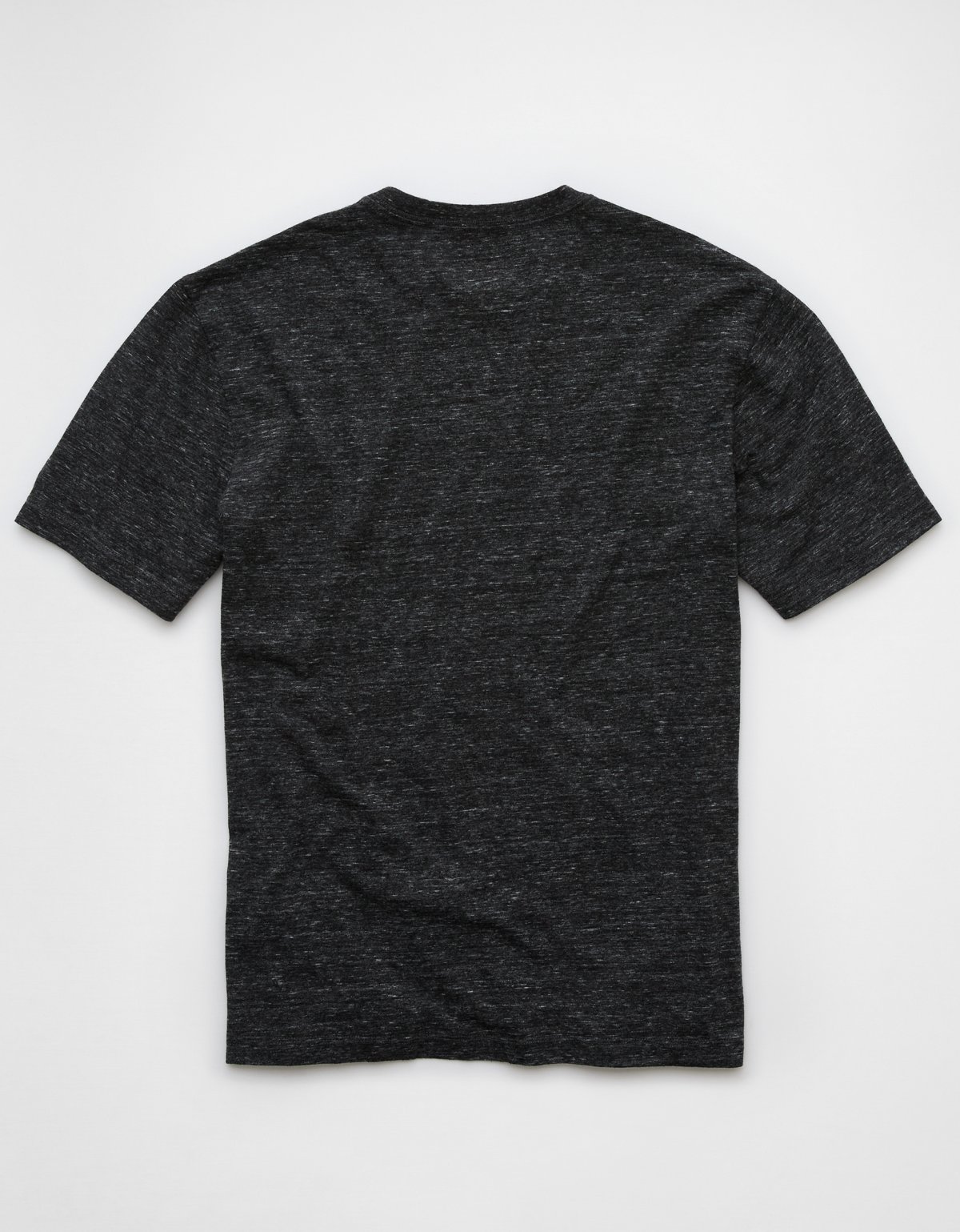 AE Logo Lived-In T-Shirt - image 4